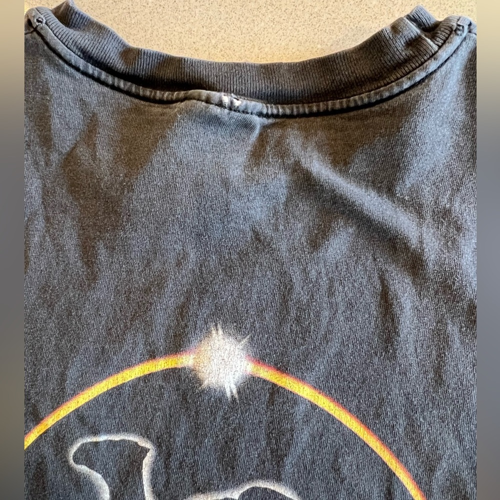 Vintage Thrashed Y2K Hanes XL Camel Graphic Tee – Desert Sun Logo Pocket Shirt - Picture 10 of 12